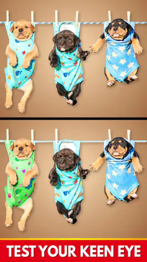 Find The Differences - Spot it screenshot