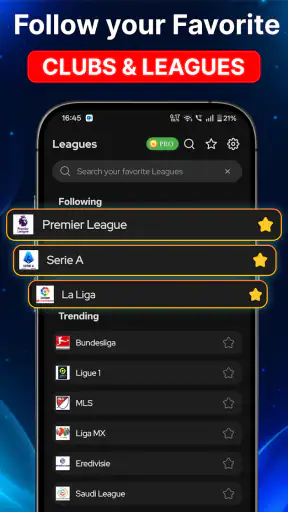 Football Live Score: MatchLive screenshot