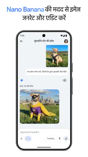 Google Gemini screenshot