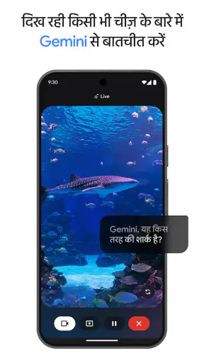 Google Gemini screenshot
