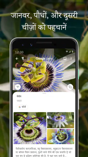 Google Lens with QR Scanner screenshot