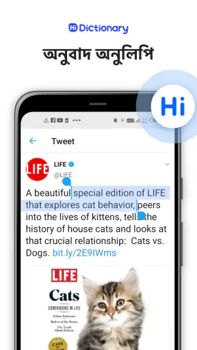 Hi Dictionary - भाषा सीखें screenshot