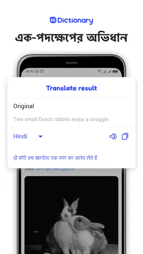 Hi Dictionary - भाषा सीखें screenshot
