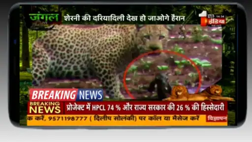 Hindi News Live TV screenshot