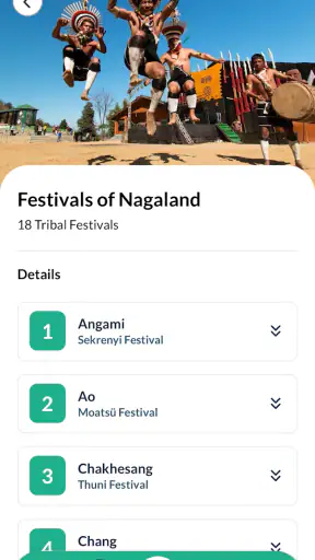 Hornbill Festival screenshot