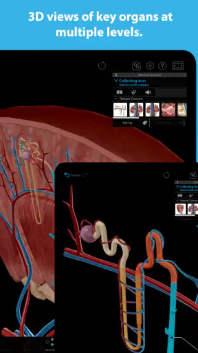 Human Anatomy Atlas 2025 screenshot