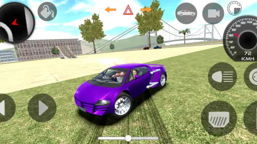 Indian Cars Simulator 3D screenshot