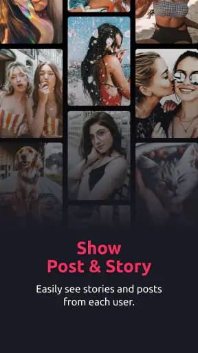 InSeen: Story & Profile Viewer screenshot