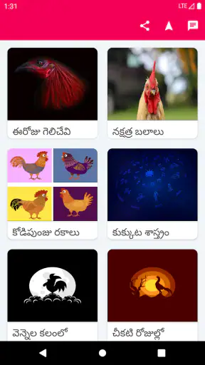Kodi Sastram screenshot