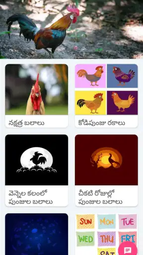 Kodi Sastram screenshot