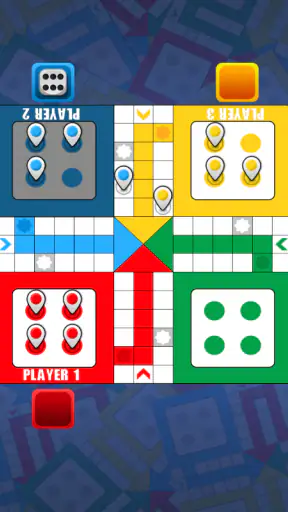 Ludo Bird Champion :  Knight R screenshot