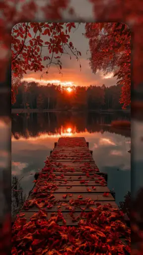 Nature Wallpapers 4K screenshot