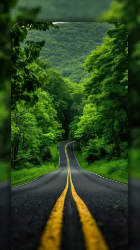 Nature Wallpapers 4K screenshot