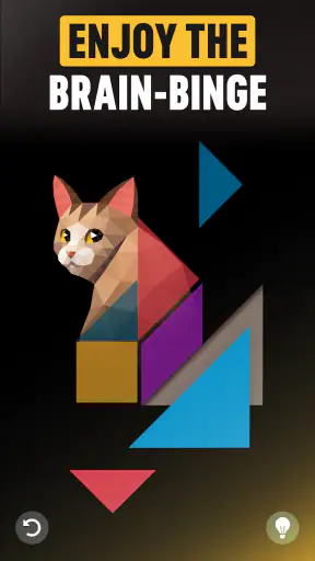 Netflix Puzzled screenshot