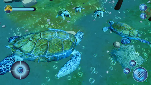 Ocean turtle tortoise Sea Game screenshot