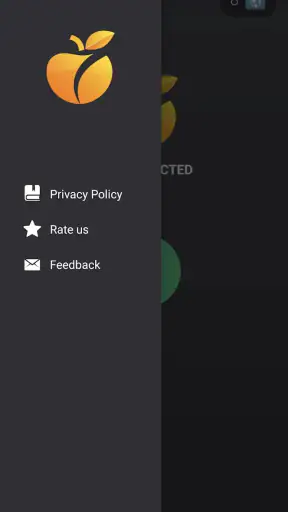OraVPN screenshot