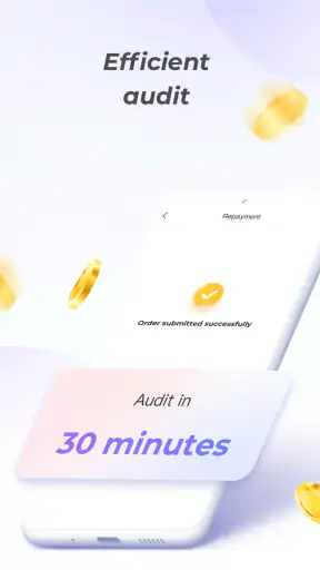 PayRupik screenshot