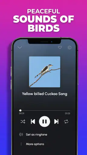 Phone Ringtones and Wallpapers screenshot