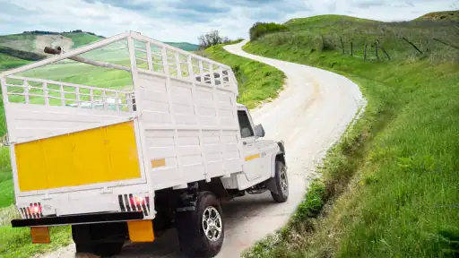 Pickup Truck Driving Simulator screenshot