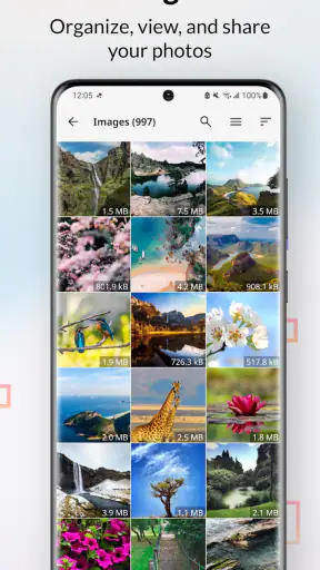 PlainApp: File & Web Access screenshot