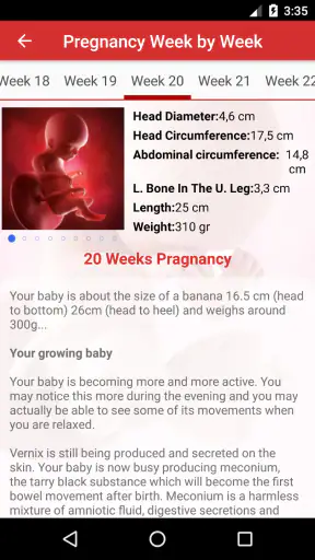 Pregnancy Day by Day screenshot