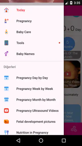 Pregnancy Day by Day screenshot