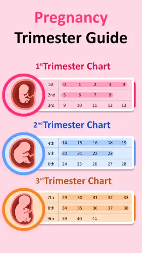 Pregnancy Tracker & Calculator screenshot