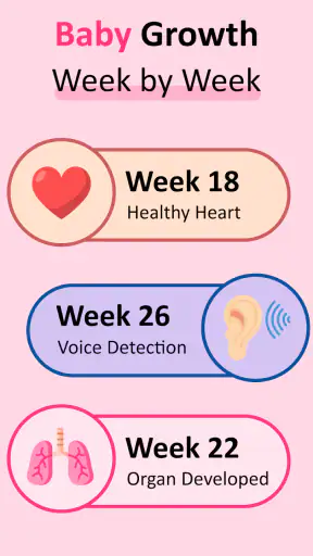 Pregnancy Tracker & Calculator screenshot