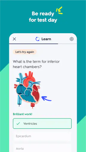 Quizlet: Study & Exam Prep screenshot