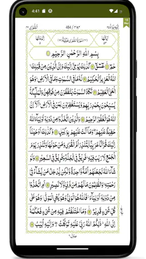 Quraan-E-Karim  (15 Lines) screenshot