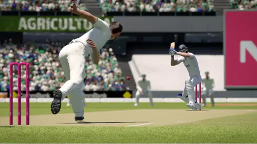 Real T20 Cricket Game 2024 screenshot