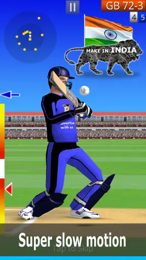 Smashing Cricket screenshot
