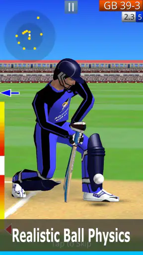 Smashing Cricket screenshot