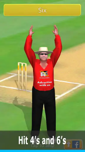 Smashing Cricket screenshot