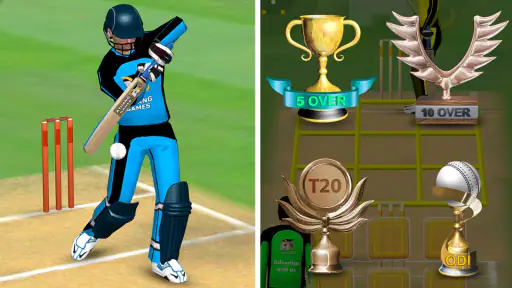 Smashing Cricket screenshot