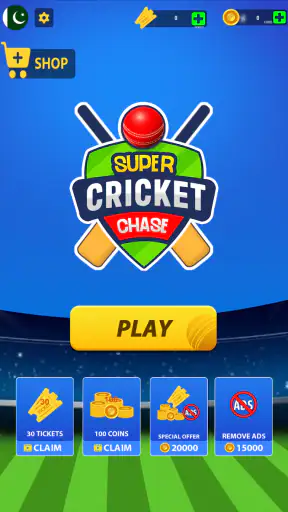 Super Chase Cricket Challenge screenshot