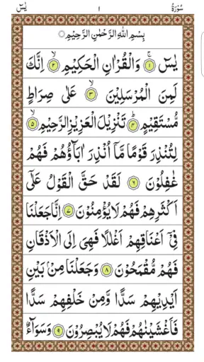 Surah Yaseen screenshot