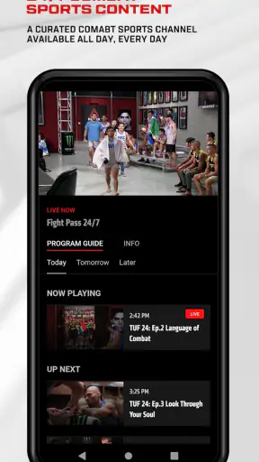 UFC screenshot