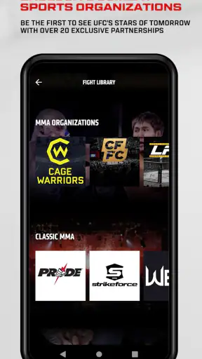 UFC screenshot