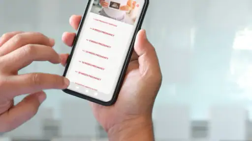 Ultrasound pregnancy guide screenshot
