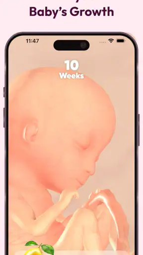 WeMoms Pregnancy Baby Tracker screenshot