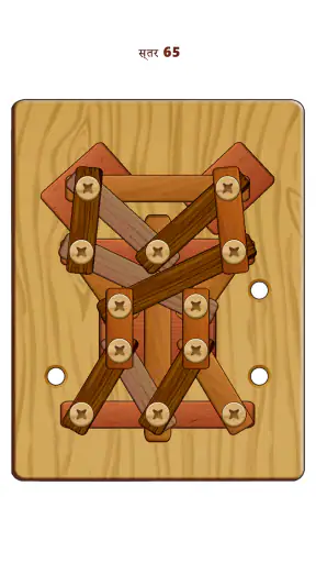 Wood Nuts & Bolts Puzzle screenshot