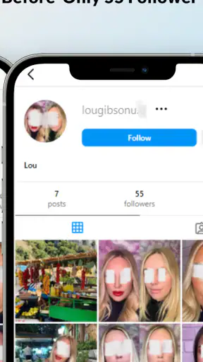 Z Followers & Likes Booster screenshot