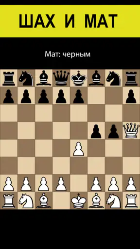 Шахматы без интернета на двоих screenshot