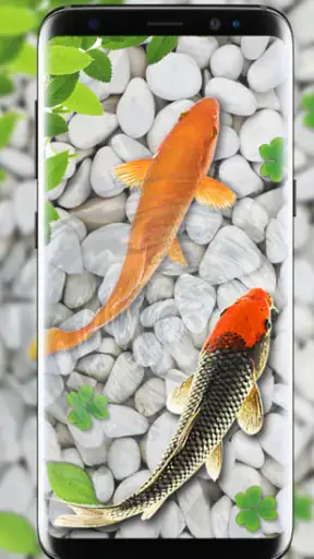 मछली जीना वॉलपेपर मछलीघर koi screenshot