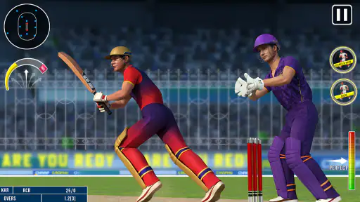विश्व चैंपियन क्रिकेट गेम 3D screenshot