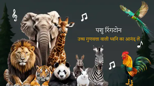 એનિમલ રિંગટોન પક્ષીઓની રિંગટોન screenshot