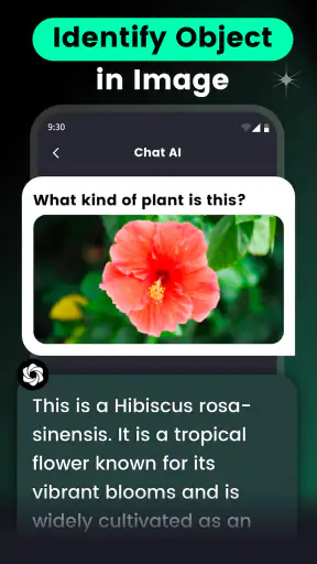 AI Chat・Ask Chatbot Assistant screenshot