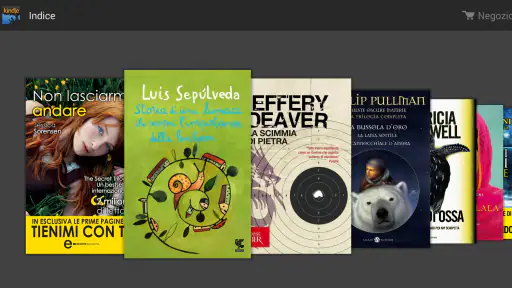 Amazon Kindle screenshot