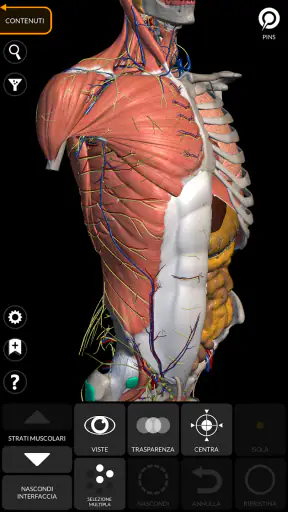 Anatomia - Atlante 3D screenshot
